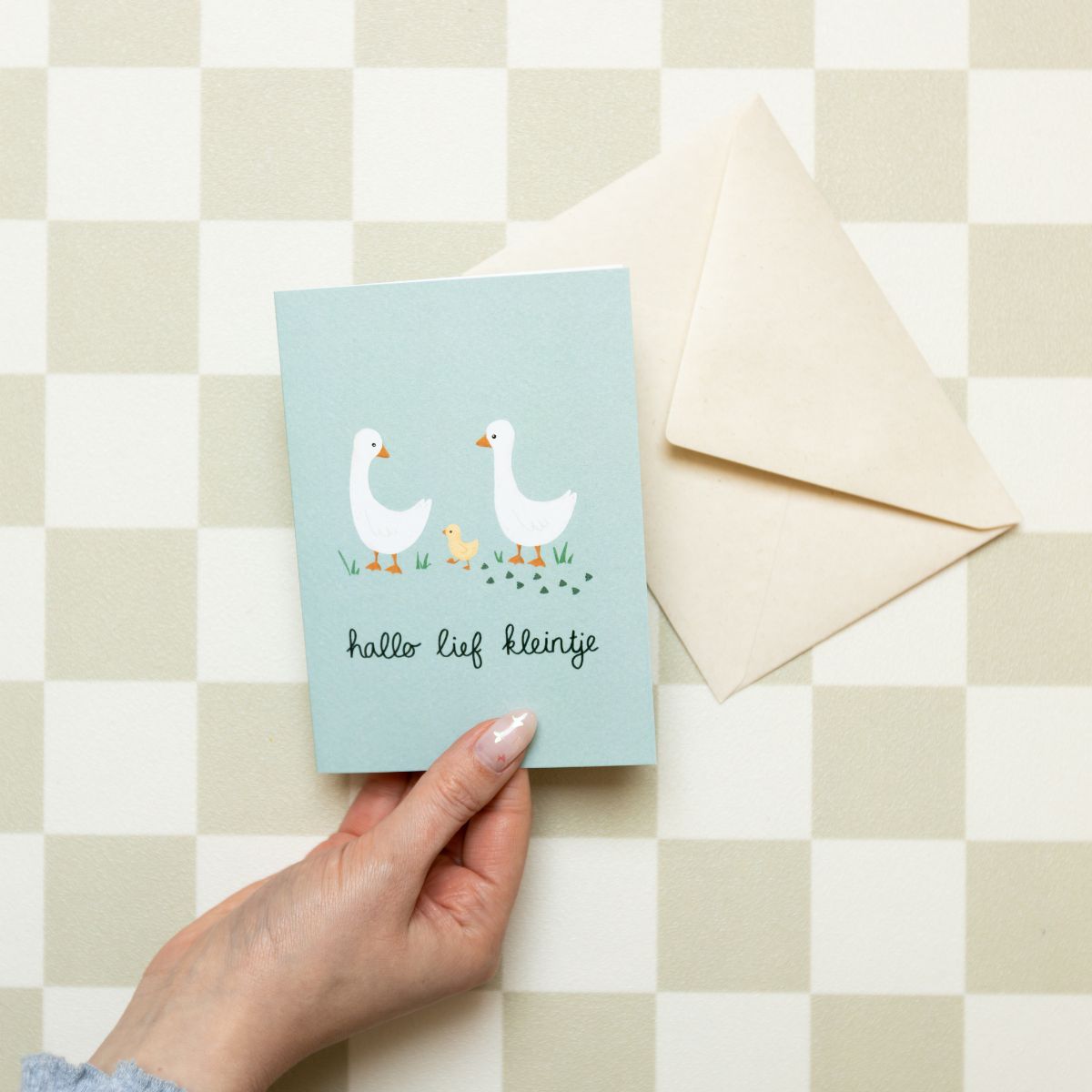 Wenskaart - Geboortekaart eendenfamilie