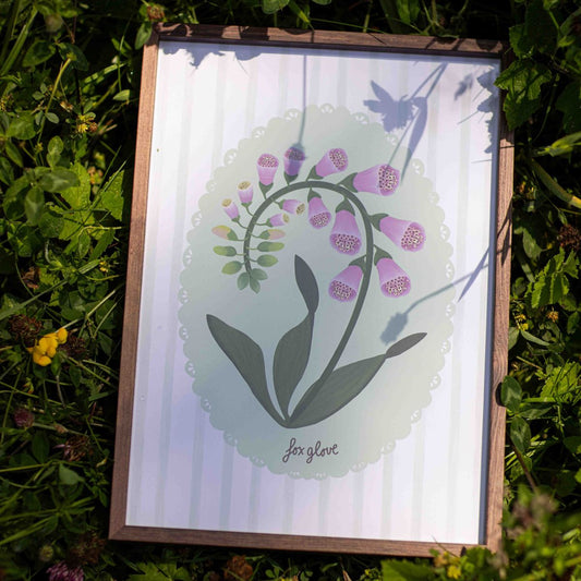 Poster - Vingerhoedskruid (fox glove)