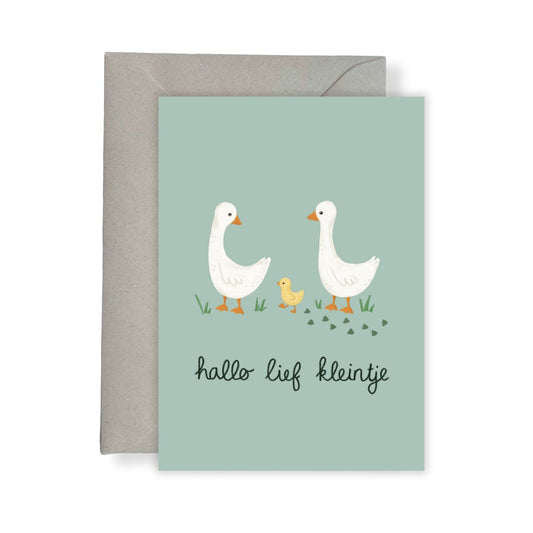 Wenskaart - Geboortekaart eendenfamilie