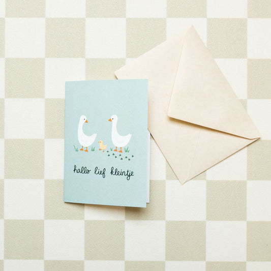 Wenskaart - Geboortekaart eendenfamilie